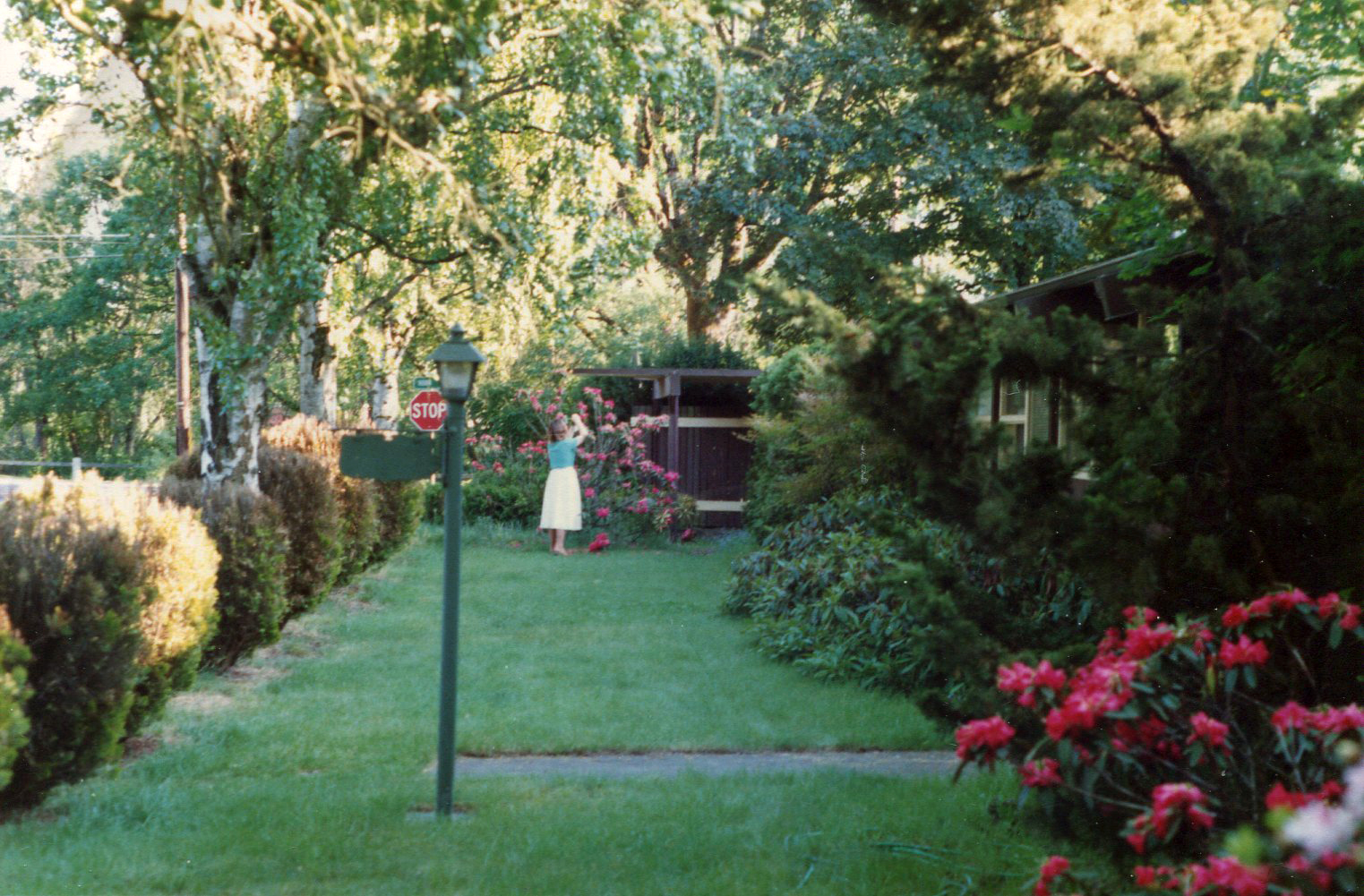5b. Grounds at front of house, looking south.