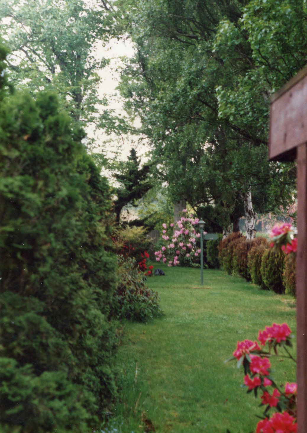 5c. Grounds at front of house, looking north.
