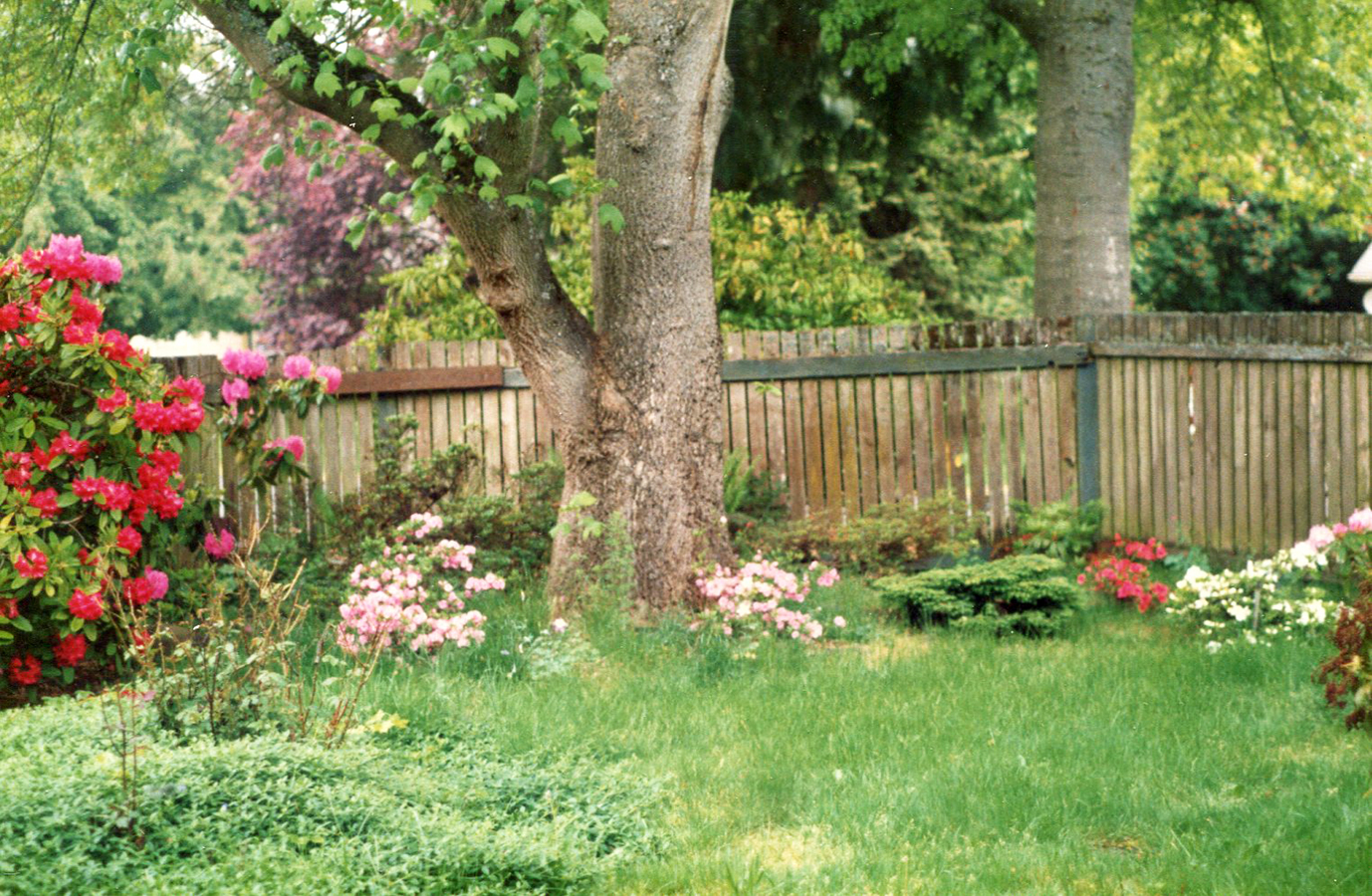 5e. Woodland garden, north end of grounds.